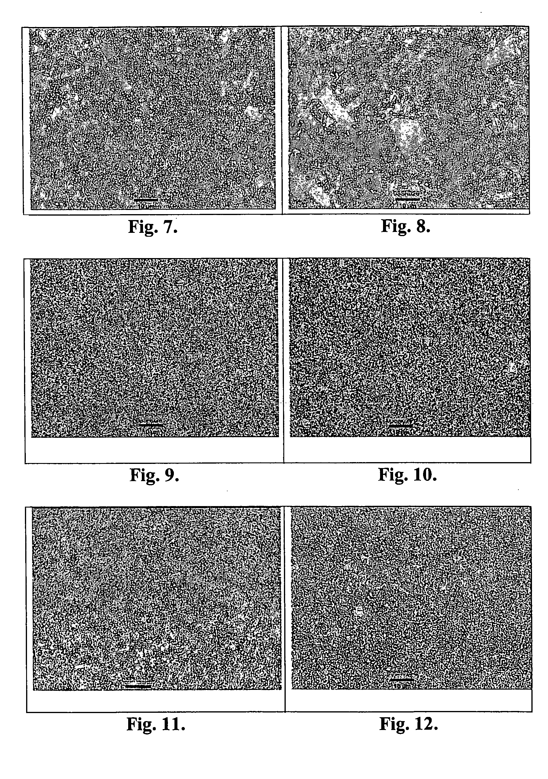 Method of making a fine grained cemented carbide