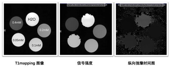 A Method for Simultaneous T1-weighted Imaging Using RareVTR Sequences for Magnetic Resonance Dual-signal Nanoprobes