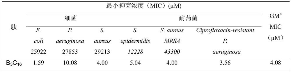 A kind of palmitic acid anti-enzymolysis antimicrobial peptide and its preparation method and application
