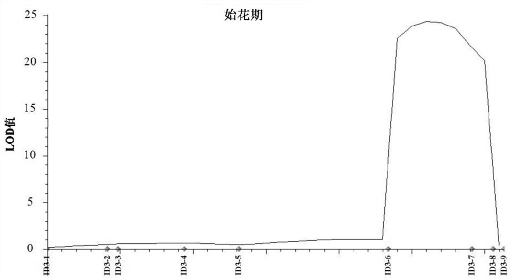Main effect QTL related to mung bean early flowering stage, molecular marker and application thereof