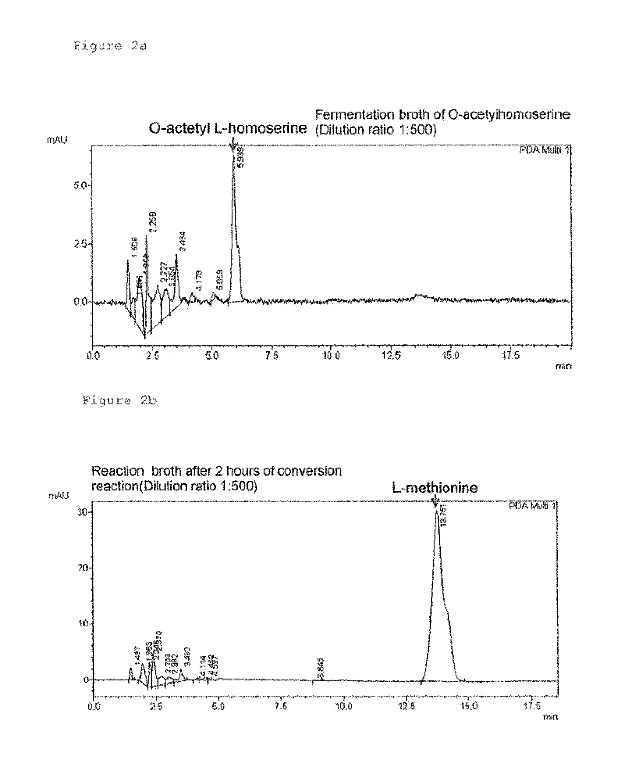 O-acetylhomoserine sulfhydrylase or mutant protein thereof, and method for converting to methionine using the same
