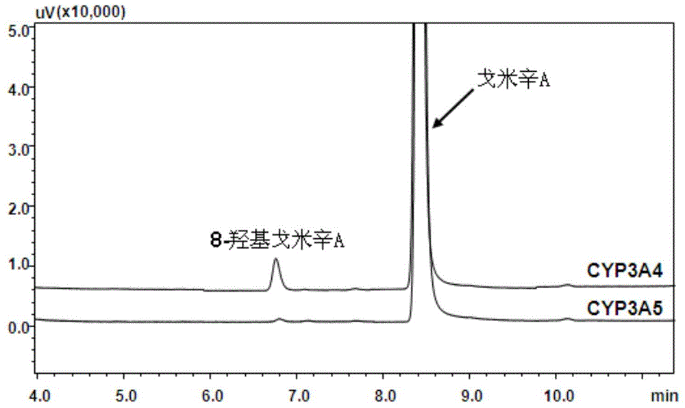 Novel cytochrome CYP3A4 enzyme specific probe reaction and application thereof