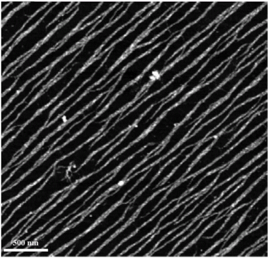 Preparation method for collagen nanowire array layer cuvette