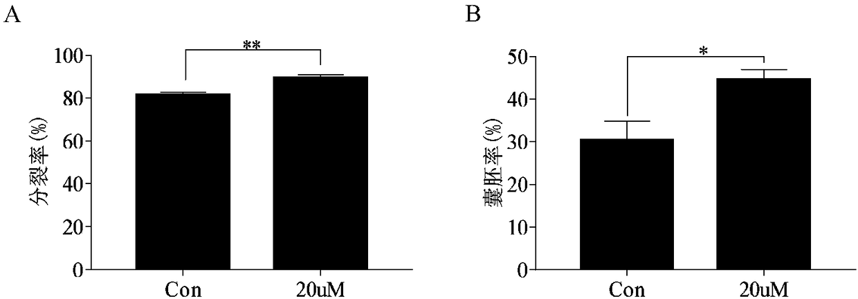 Application of fructus momordicae extract mogroside V in aspect of promoting in-vitro maturation of oocyte