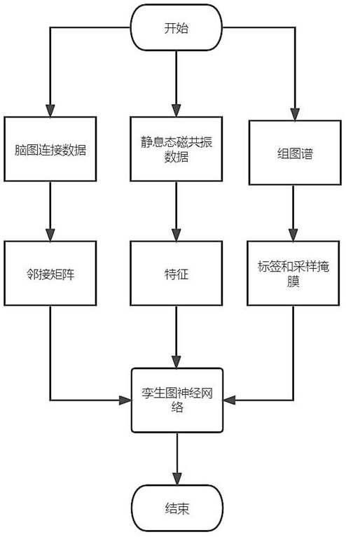 Brain map individualization method and system based on magnetic resonance and twin map neural network