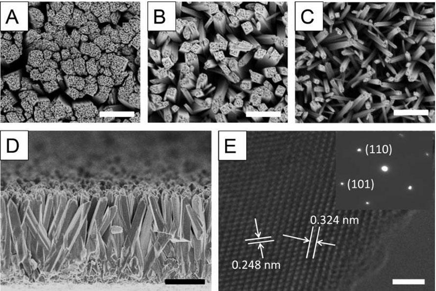 Ti-doped titanium dioxide nanowire array, as well as preparing method and application of Ti-doped titanium dioxide nanowire array