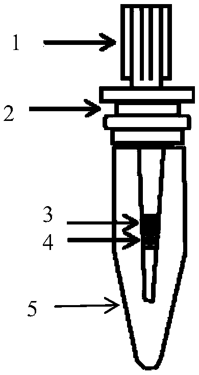 Mini protein reactor applied to preparation of proteome sample and application of mini protein reactor