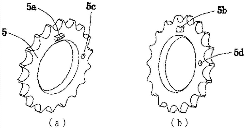 Timing chain drive system and engine