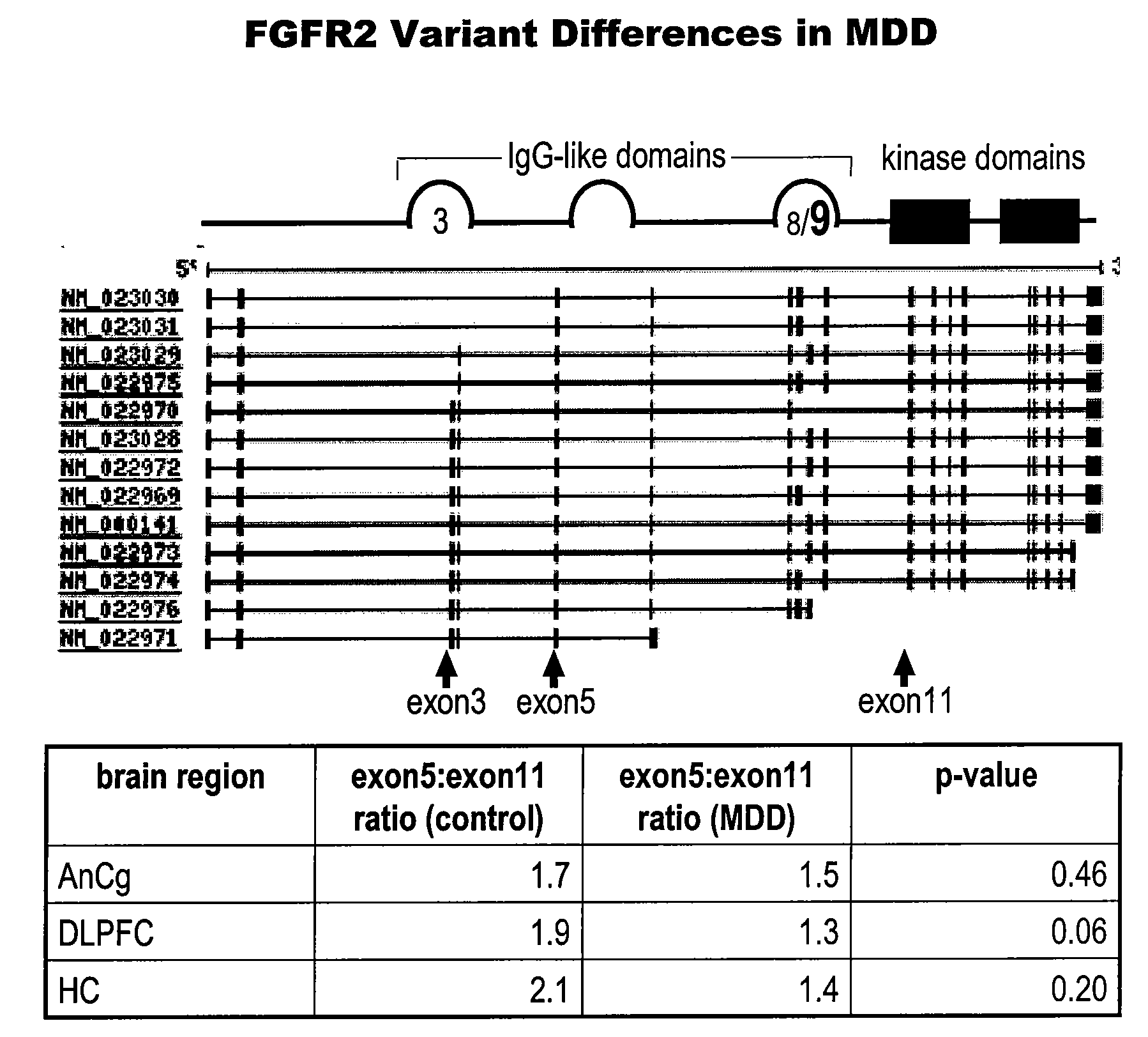 Fgf2-related methods for diagnosing and treating depression