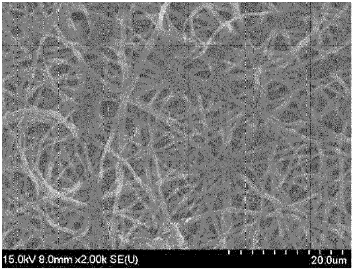 Carbon-based fiber sheet and lithium-sulfur battery including same