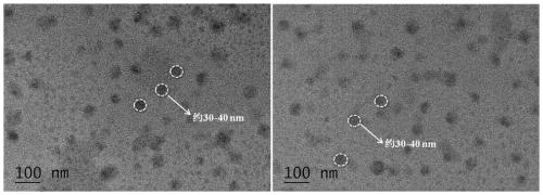 A fluorescent nano-molecular imprint bionic sensor and its preparation method and application