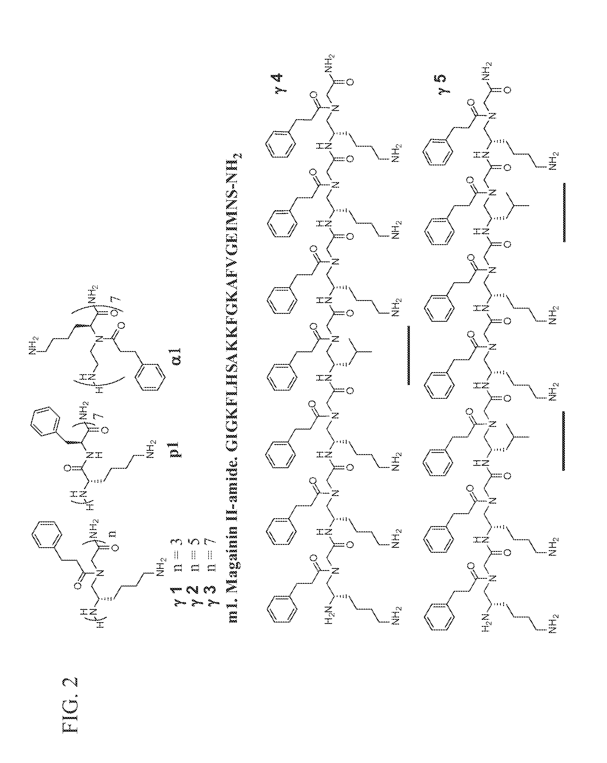 Gamma-aapeptides with potent and broad-spectrum antimicrobial activity