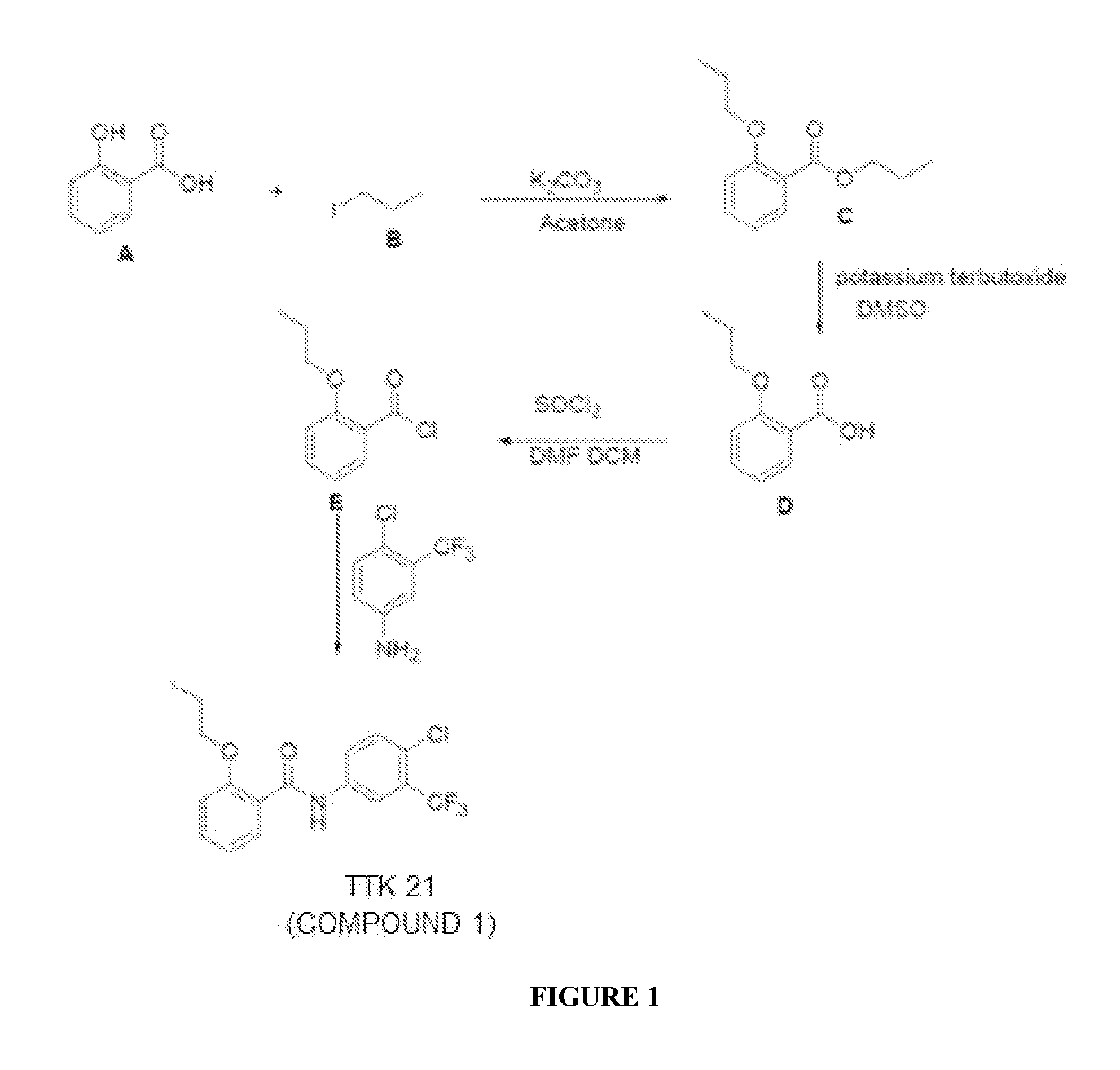 Nanosphere- histone acetyltransferase (HAT) activator composition, process and methods thereof