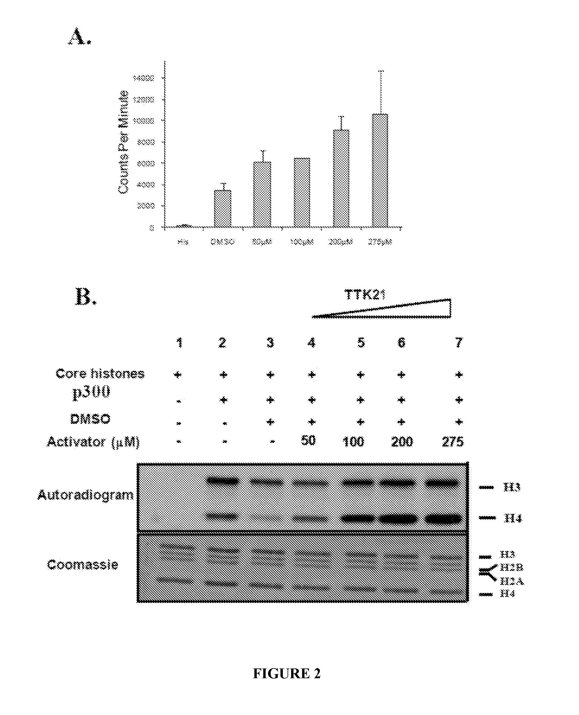 Nanosphere- histone acetyltransferase (HAT) activator composition, process and methods thereof