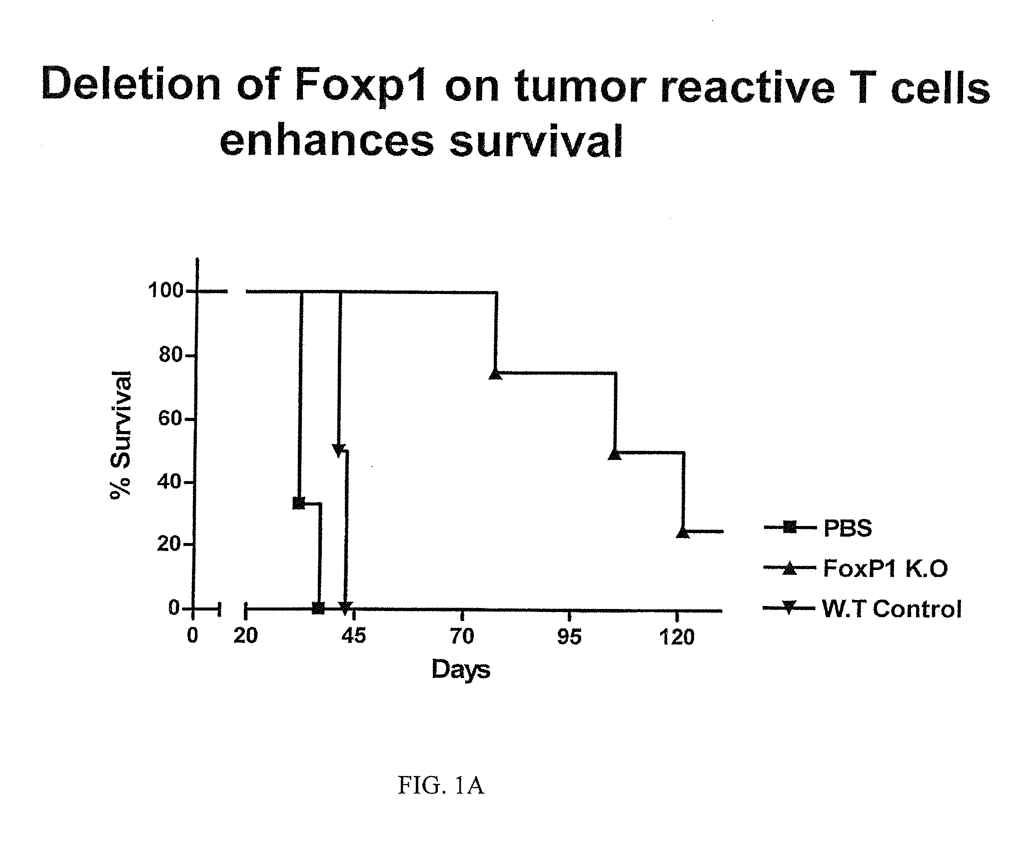 Methods and Compositions for Enhancing the Therapeutic Effect of Anti-Tumor T Cells