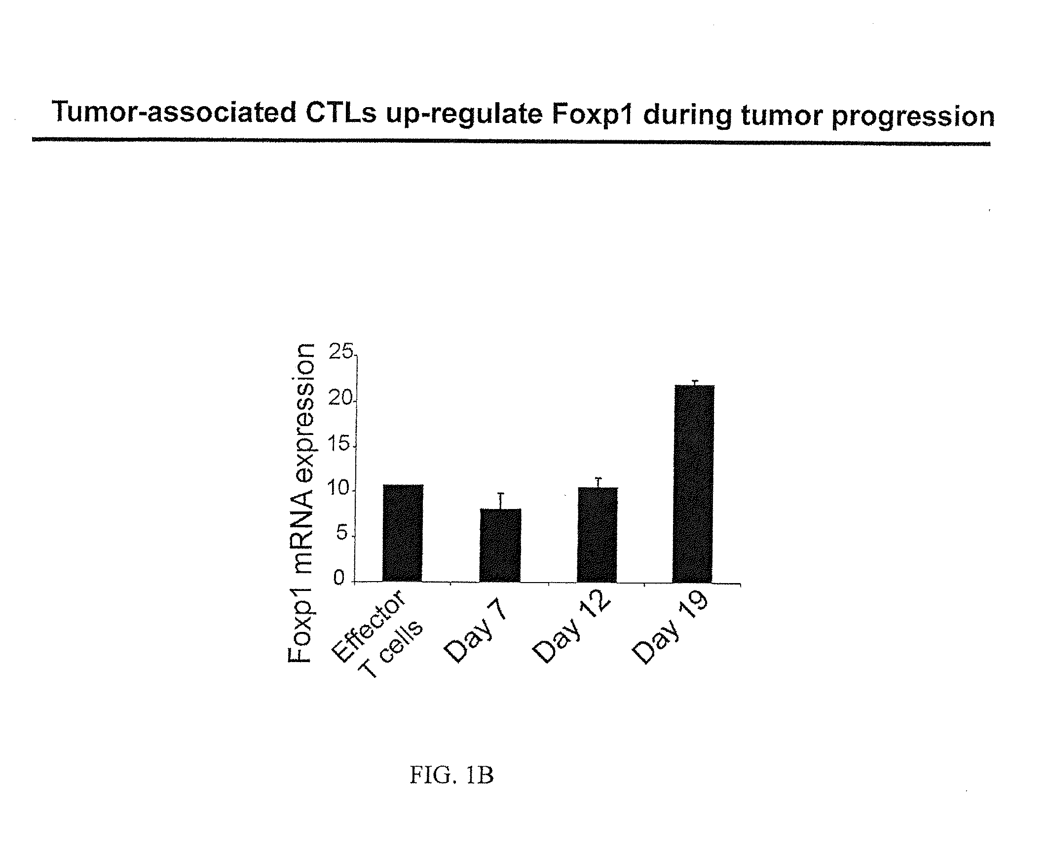 Methods and Compositions for Enhancing the Therapeutic Effect of Anti-Tumor T Cells
