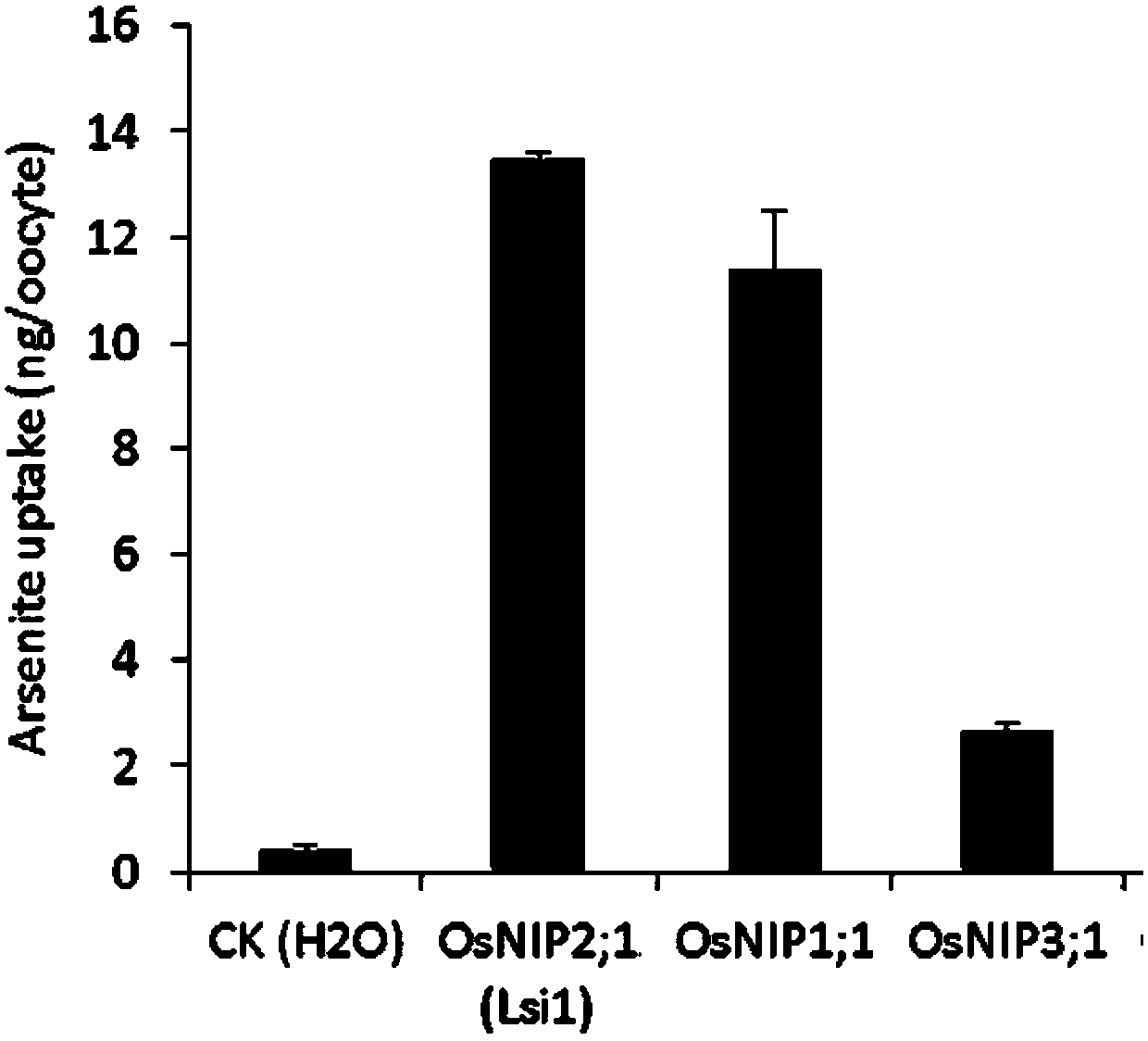 Application of water channel protein coded gene OsNIP1;1 of rice