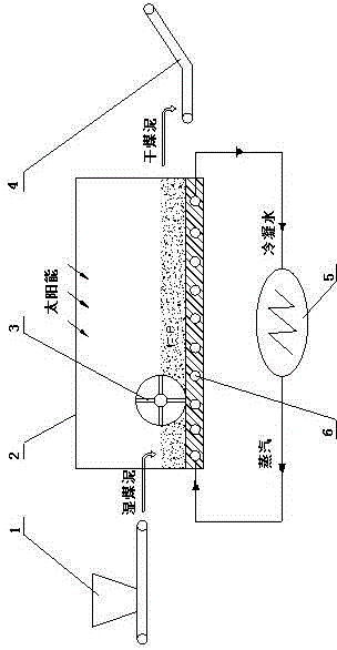 Coal slime drying system and method using electric power plant low-grade steam and solar energy