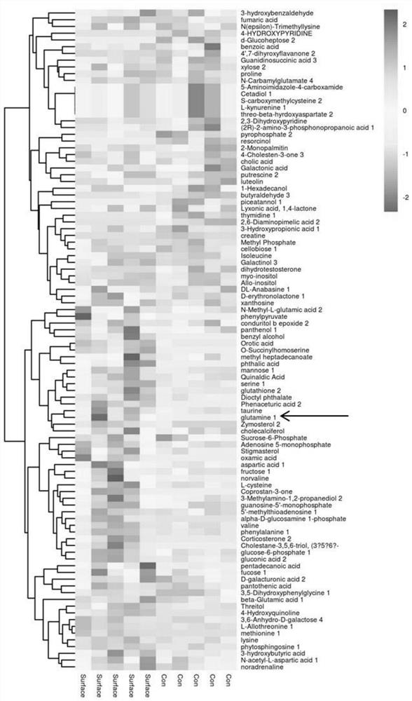 Application of Atmospheric Cooled Plasma in Inhibiting Glutaminase Activity and Enzyme Inhibitor