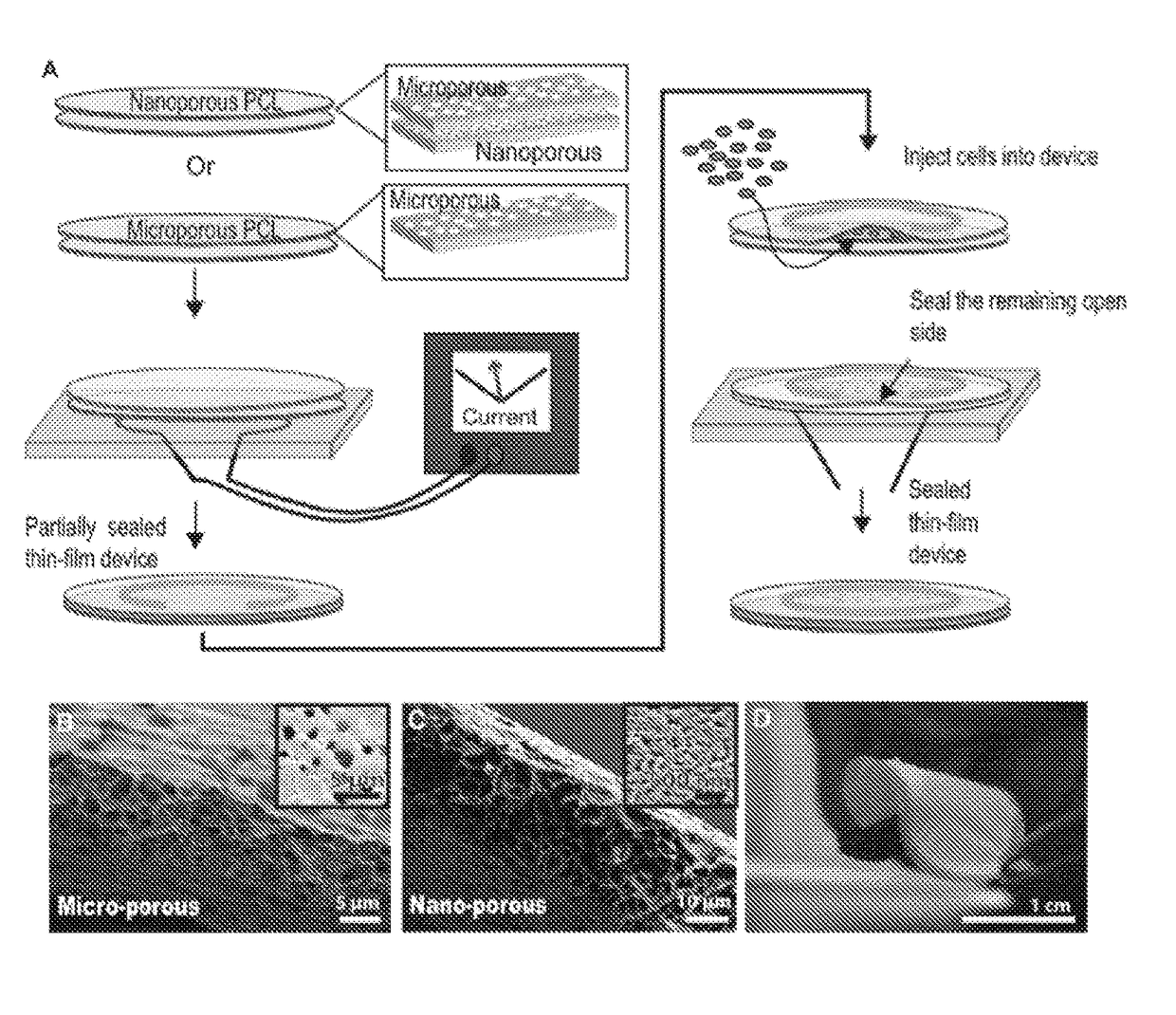 Thin film cell encapsulation devices