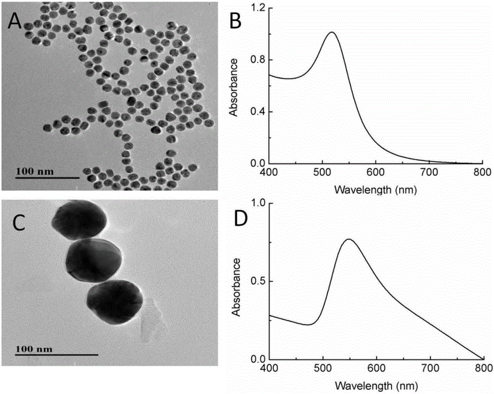 Oxytetracycline SERS detection method based on nanomaterial self-assembly