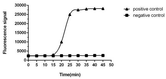 Kit for rapidly detecting acinetobacter baumannii and using method