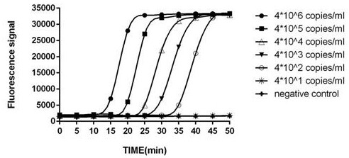 Kit for rapidly detecting acinetobacter baumannii and using method