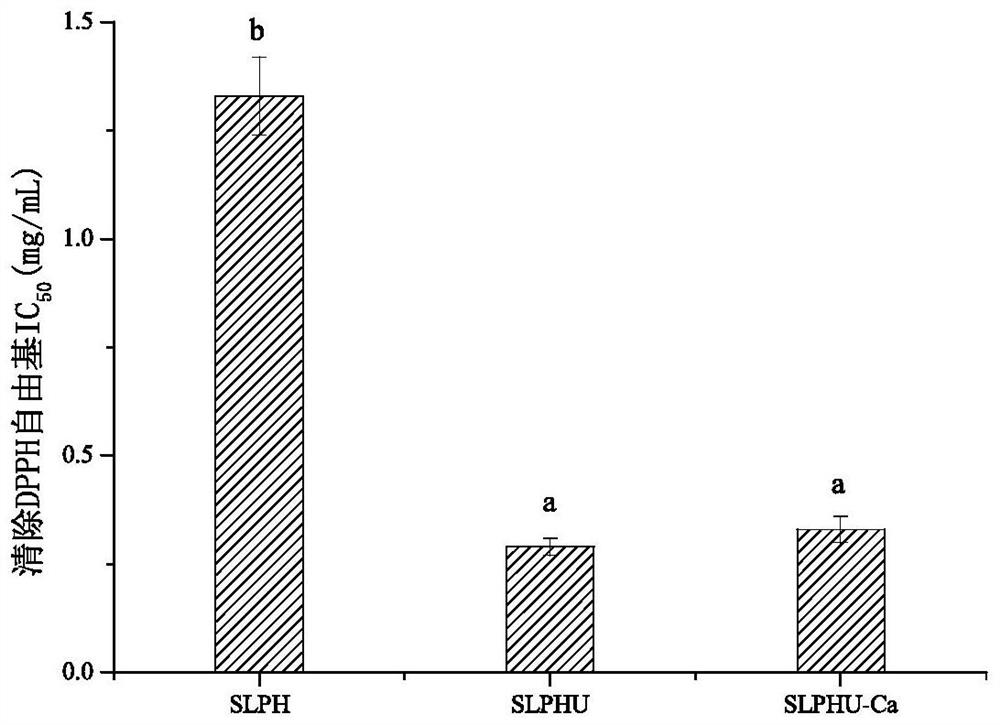 A preparation method of schizochytrid peptide chelated calcium with antioxidant activity