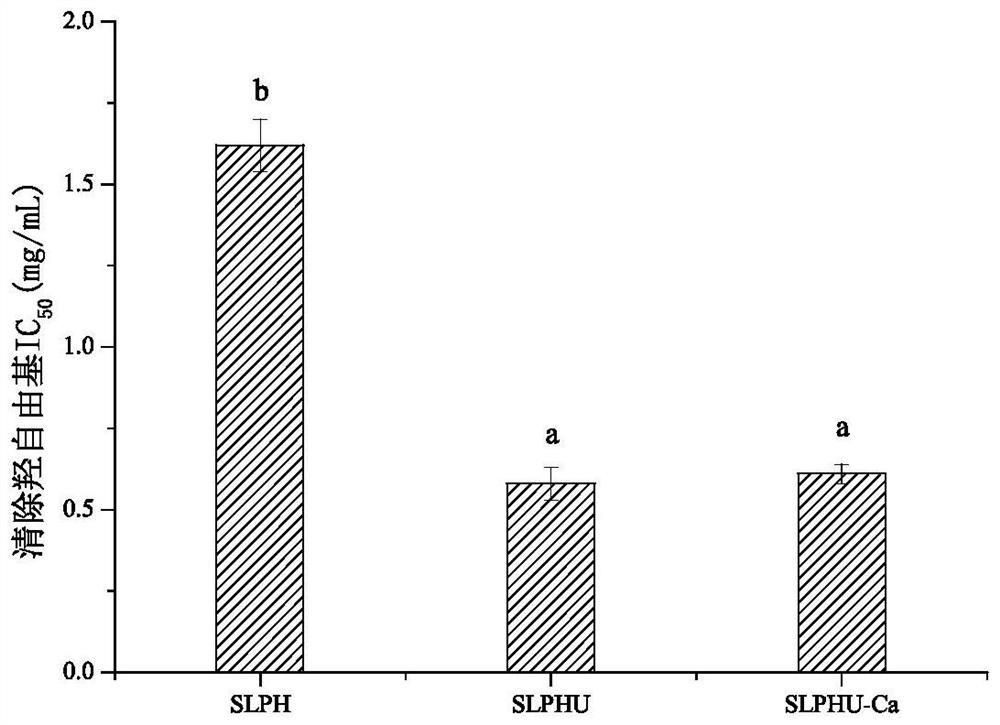 A preparation method of schizochytrid peptide chelated calcium with antioxidant activity
