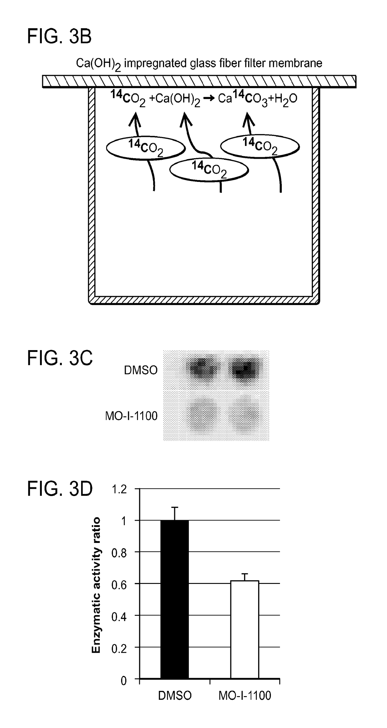 Inhibitors of beta-hydroxylase for treatment of cancer