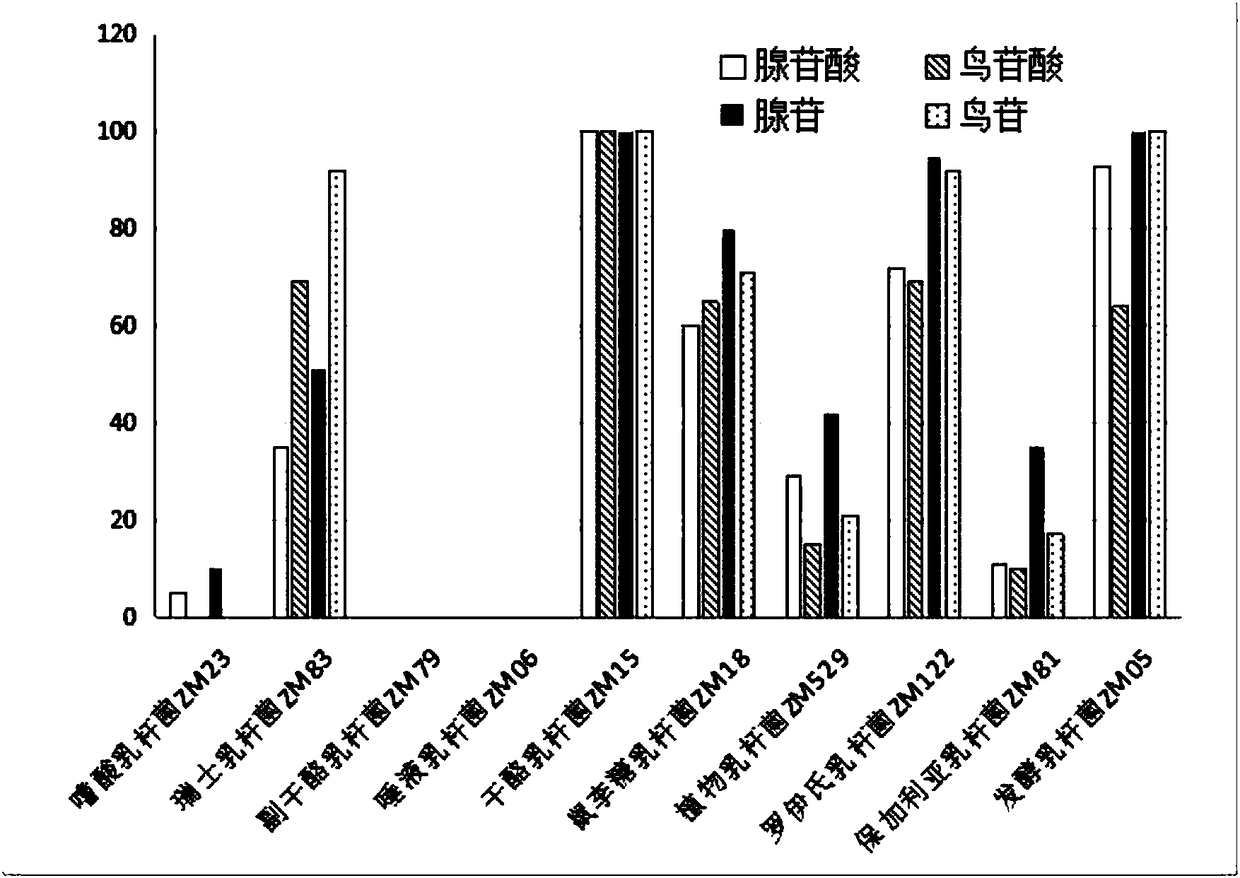 Lactobacillus casei strain and probiotic composition for lowering blood uric acid and application thereof
