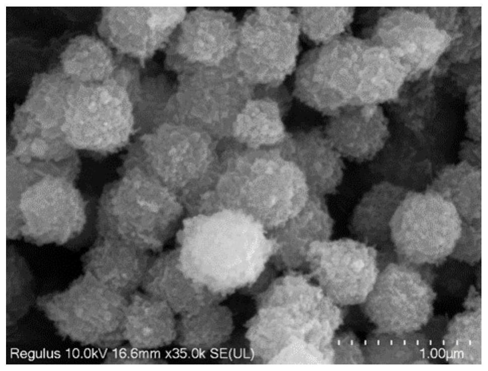 Colorimetric detection method for aryloxyphenoxypropionate herbicide based on magnetic nanocrystal enzyme preparation