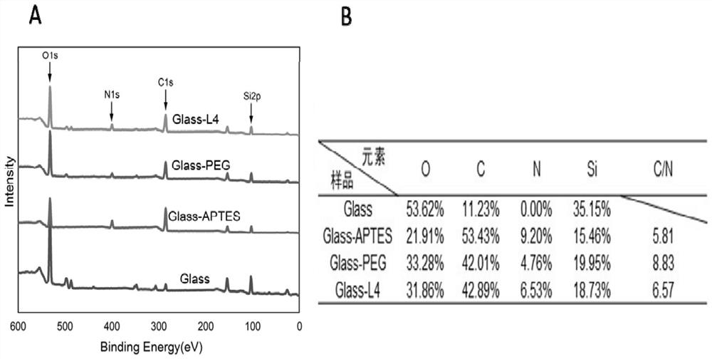 A kind of antibacterial and antifouling polymer brush and its preparation method and application