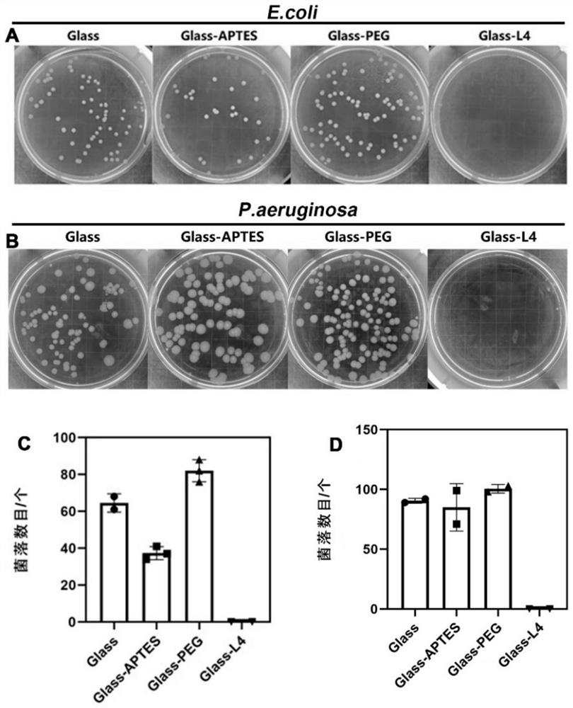 A kind of antibacterial and antifouling polymer brush and its preparation method and application