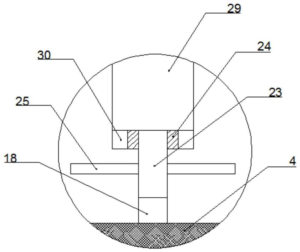 Fertilization equipment for Scrophulariaceae