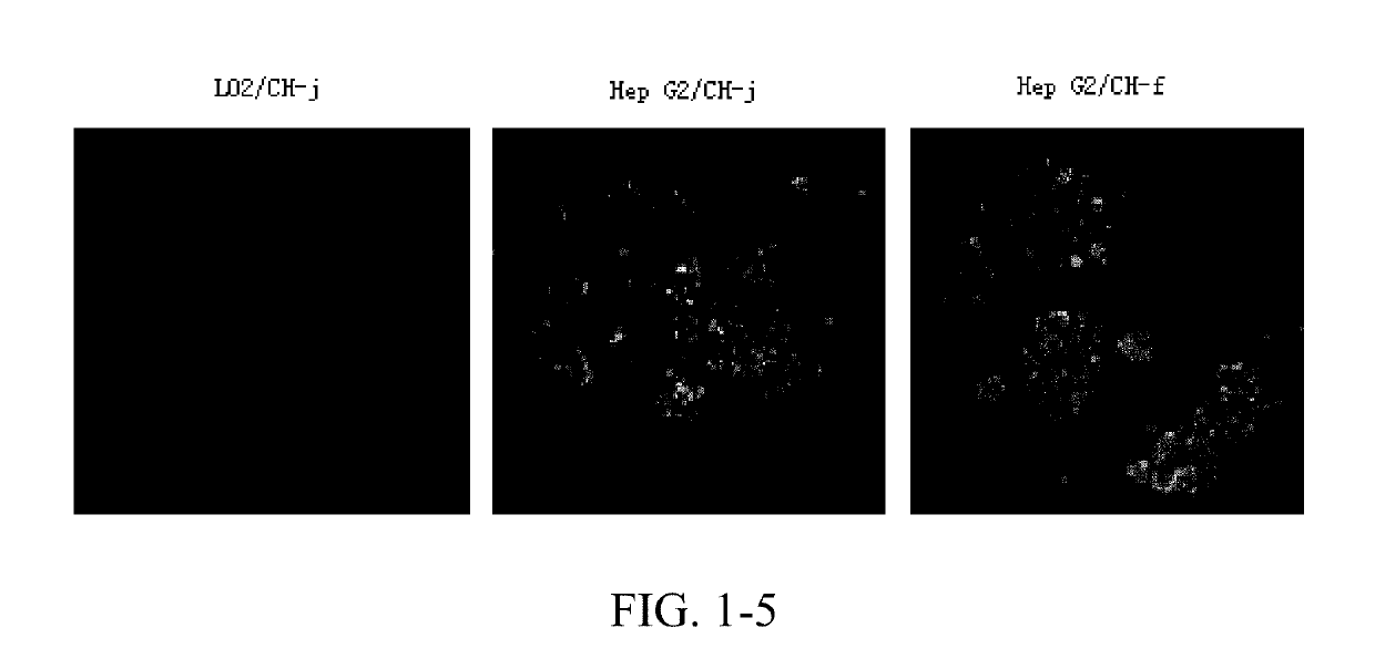 Cdk1 inhibitors of acetyl chrysin mannich base derivatives, synthesis and use thereof