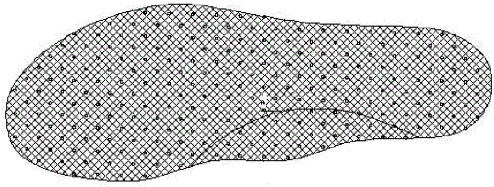 Composite insole with gradient function and making method thereof