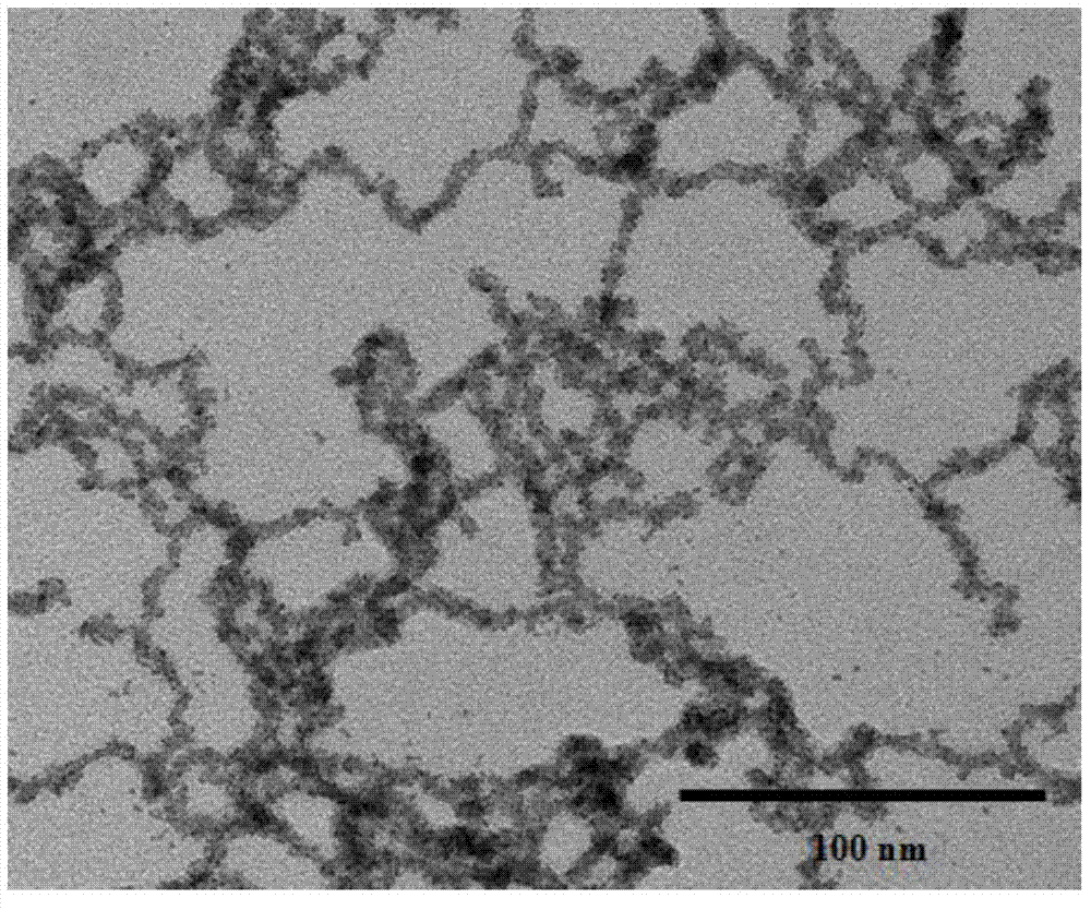 Method for preparing platinum nanowires through helicoverpa armigera nuclear polyhedron extractives