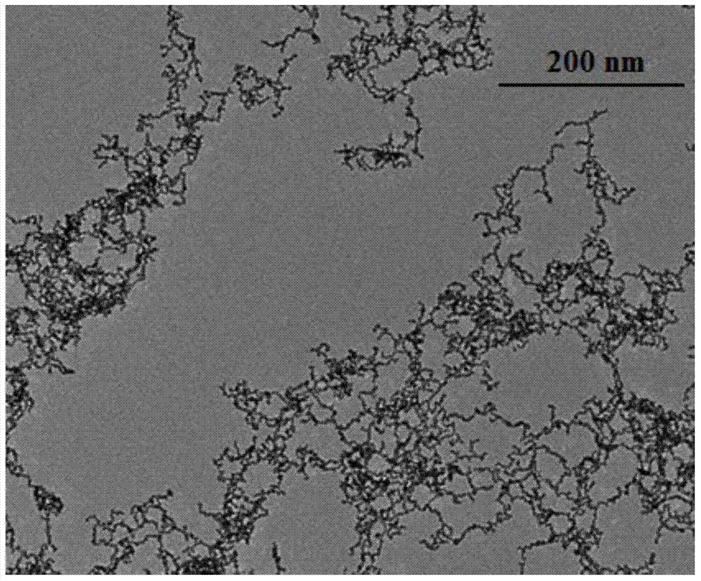 Method for preparing platinum nanowires through helicoverpa armigera nuclear polyhedron extractives