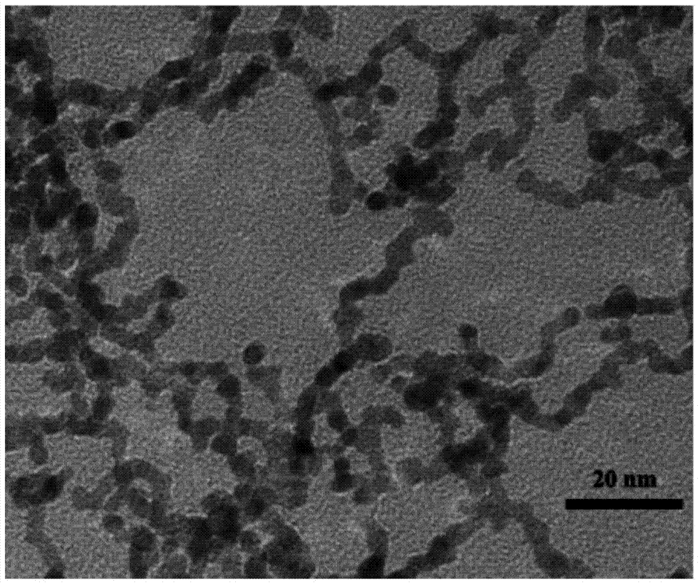Method for preparing platinum nanowires through helicoverpa armigera nuclear polyhedron extractives