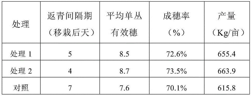 Special oxygen-evolving fertilizer for promoting rice root growth and regreening and reviving and preparation method thereof
