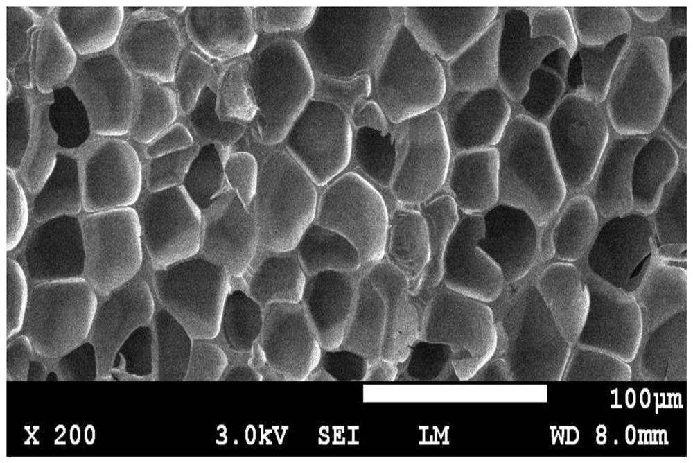 A kind of preparation method of TPU expanded beads and product thereof