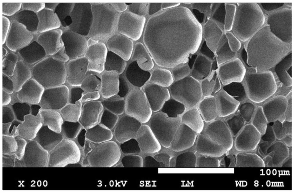 A kind of preparation method of TPU expanded beads and product thereof