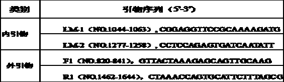 PCDR (polymerase chain displacement reaction) detection reagent for food-borne pathogenic bacterium listeria monocytogenes