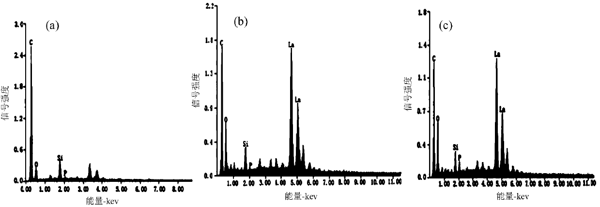 Method for preparing lanthanum-loaded charcoal used for purifying phosphorus polluted water