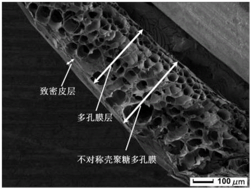 Asymmetric chitosan nanofiber porous membrane and preparation method thereof