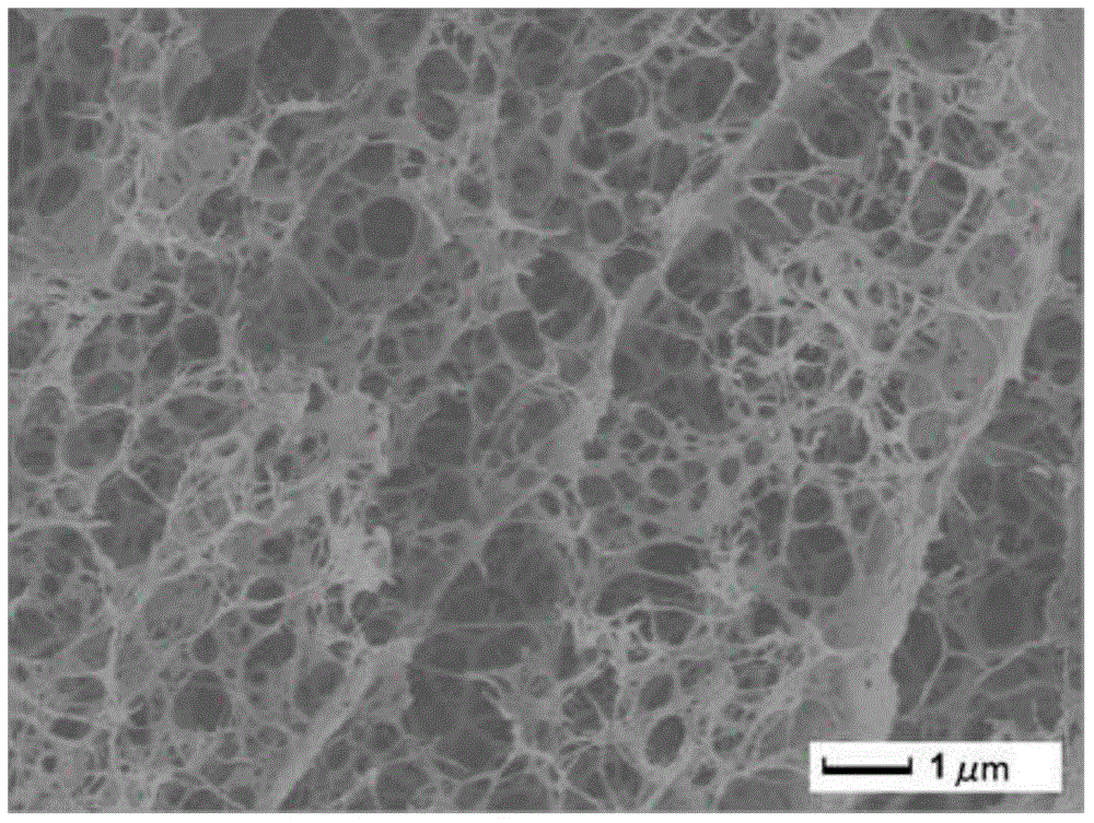 Asymmetric chitosan nanofiber porous membrane and preparation method thereof