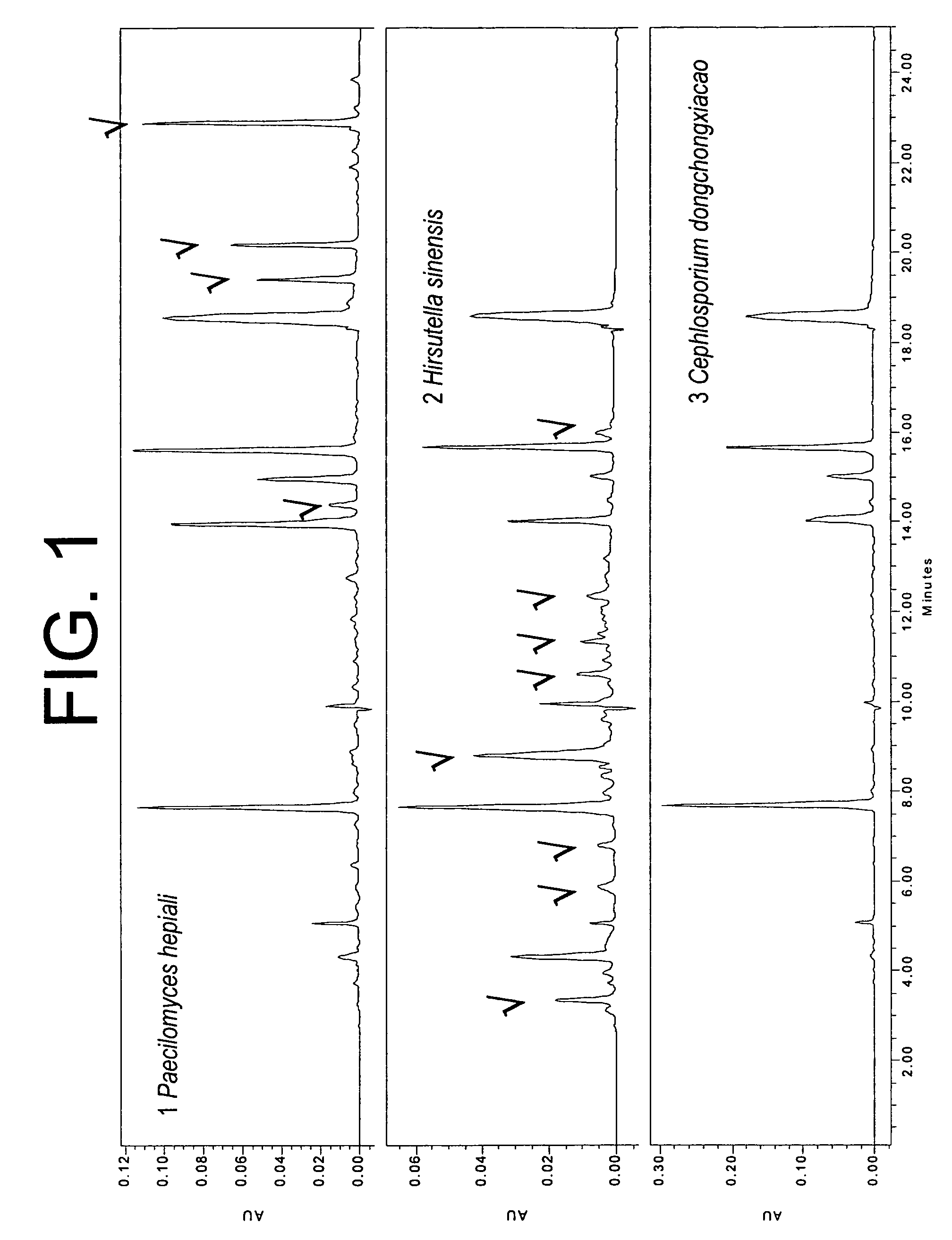 Fungal-derived formulations and associated methods