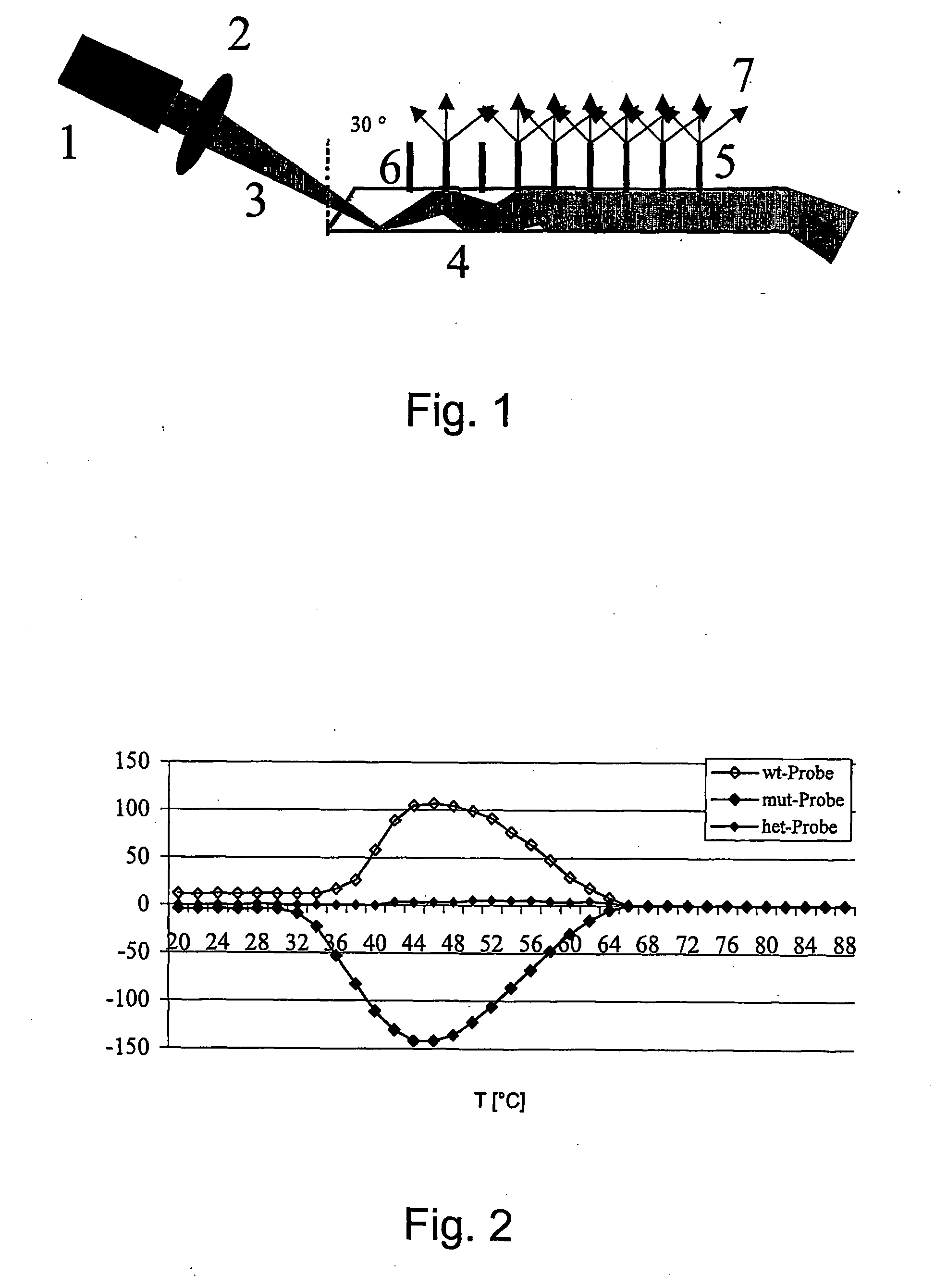 Method For The Analysis Of Point Mutations