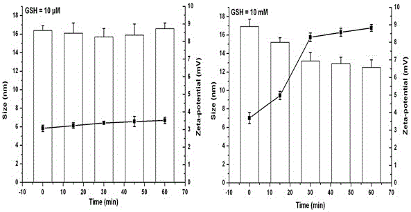 A pamam-based targeted drug delivery carrier and preparation method thereof